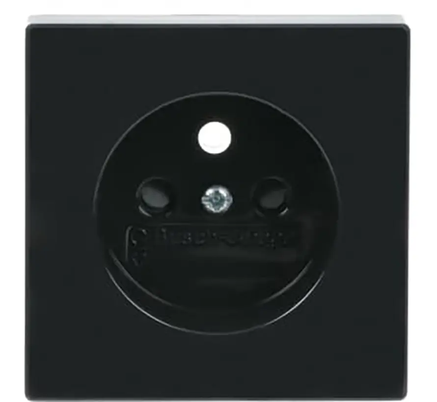 centraalplaat voor wandcontactdoos met penaarde Future Linear antraciet glans (2399 UCKS-81)