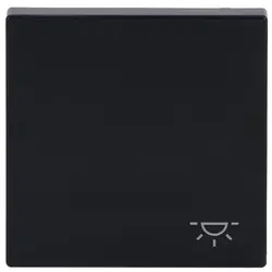 Busch-Jaeger schakelwip symbool licht Future Linear antraciet glans (2520 LI-81)