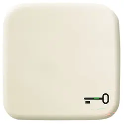 Busch-Jaeger schakelwip symbool sleutel Standaard SI (2520 TR-212)