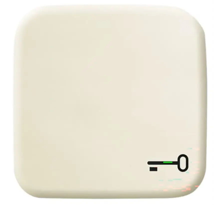 schakelwip symbool sleutel Standaard SI (2520 TR-212)