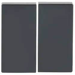 Busch-Jaeger Friends of Hue schakelwip 2-voudig Future Linear antraciet glans (6736 FoH-81)