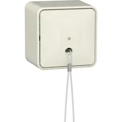 Gira trekschakelaar met interne montageplaat opbouw 10A creme (314612)