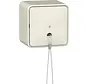 trekschakelaar met interne montageplaat opbouw 10A creme (314612)