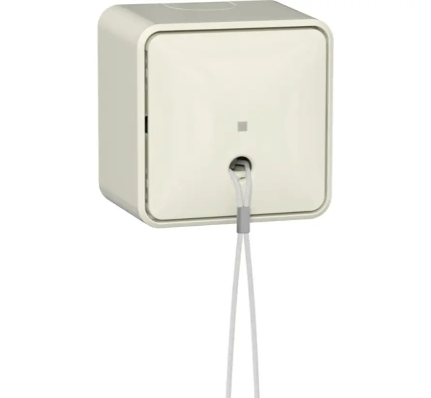 trekschakelaar met interne montageplaat opbouw 10A creme (314612)