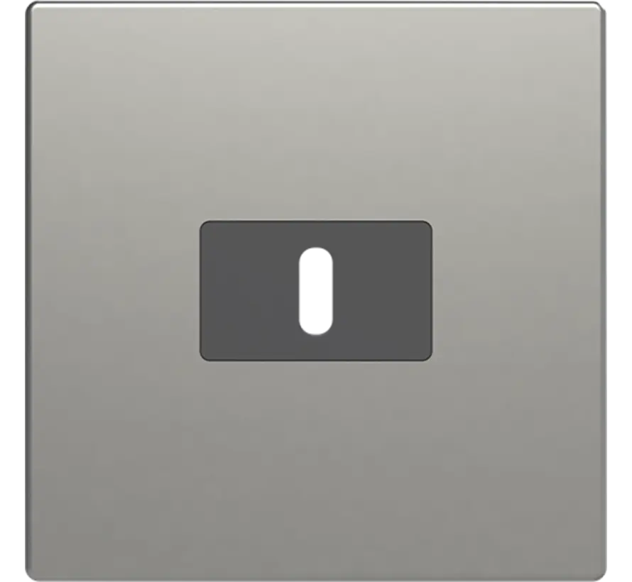 centraalplaat USB-C Pure Stainless Steel (6479-866)