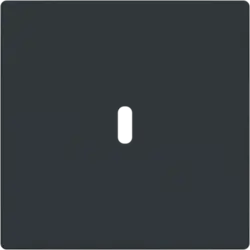 Busch-Jaeger centraalplaat USB-C antraciet glans (6479-81)