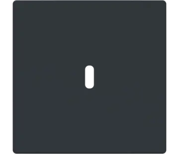 Busch-Jaeger centraalplaat USB-C Future Linear antraciet glans (6479-81)