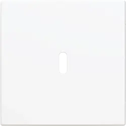 Busch-Jaeger centraalplaat USB-C Balance SI wit glans (6479-914)