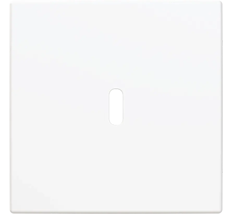 centraalplaat USB-C Balance SI wit glans (6479-914)