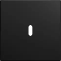 Busch-Jaeger centraalplaat USB-C Balance SI zwart mat (6479-915)