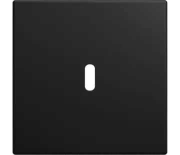 Busch-Jaeger centraalplaat USB-C Balance SI zwart mat (6479-915)