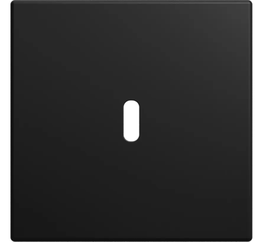 centraalplaat USB-C Balance SI zwart mat (6479-915)