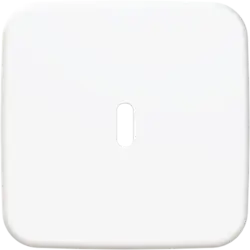 Busch-Jaeger centraalplaat USB-C Reflex SI (6479-214)