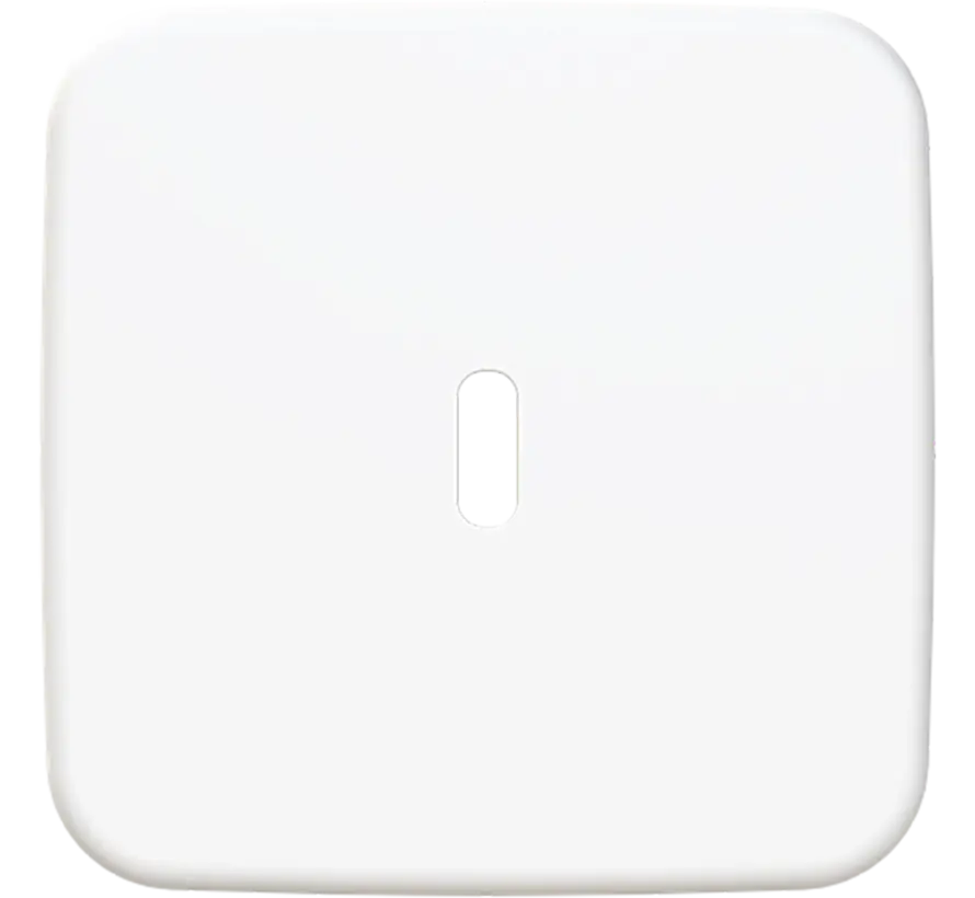 centraalplaat USB-C Reflex SI (6479-214)