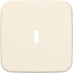 Busch-Jaeger centraalplaat USB-C Standaard SI (6479-212)