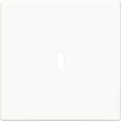 Busch-Jaeger centraalplaat USB-C studiowit glans (6479-84)