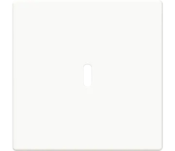 Busch-Jaeger centraalplaat USB-C Future Linear studiowit glans (6479-84)