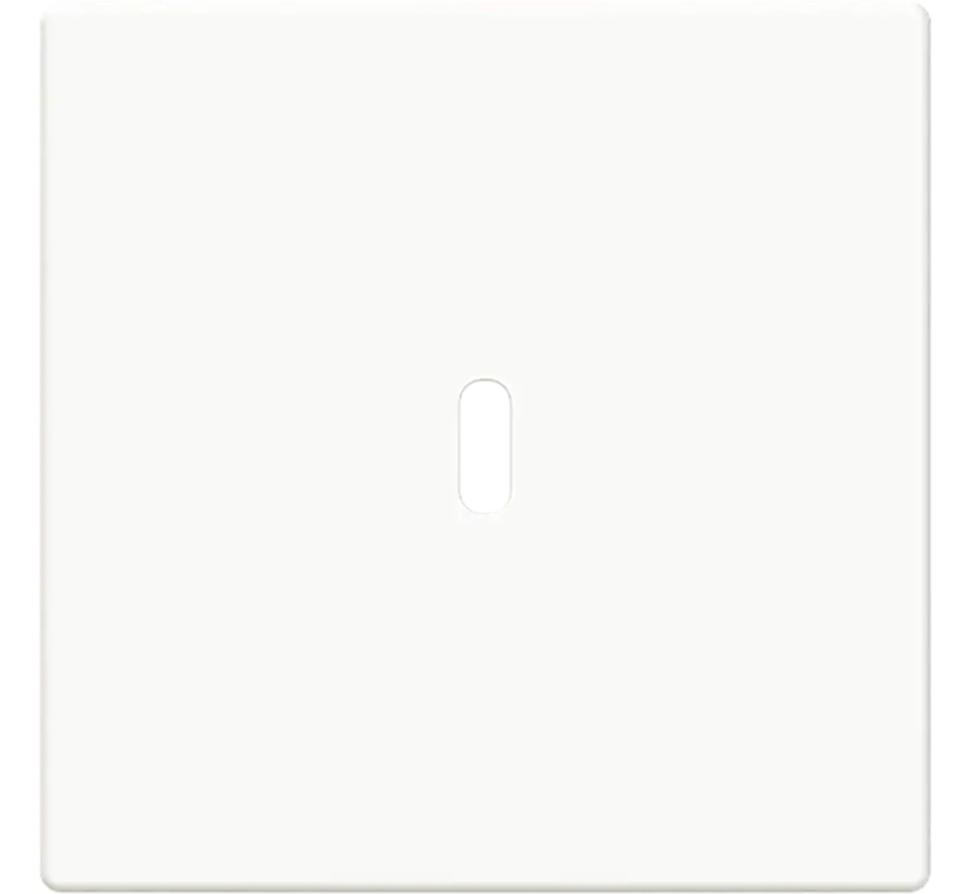 centraalplaat USB-C studiowit glans (6479-84)