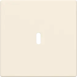 Busch-Jaeger centraalplaat USB-C creme glans (6479-82)