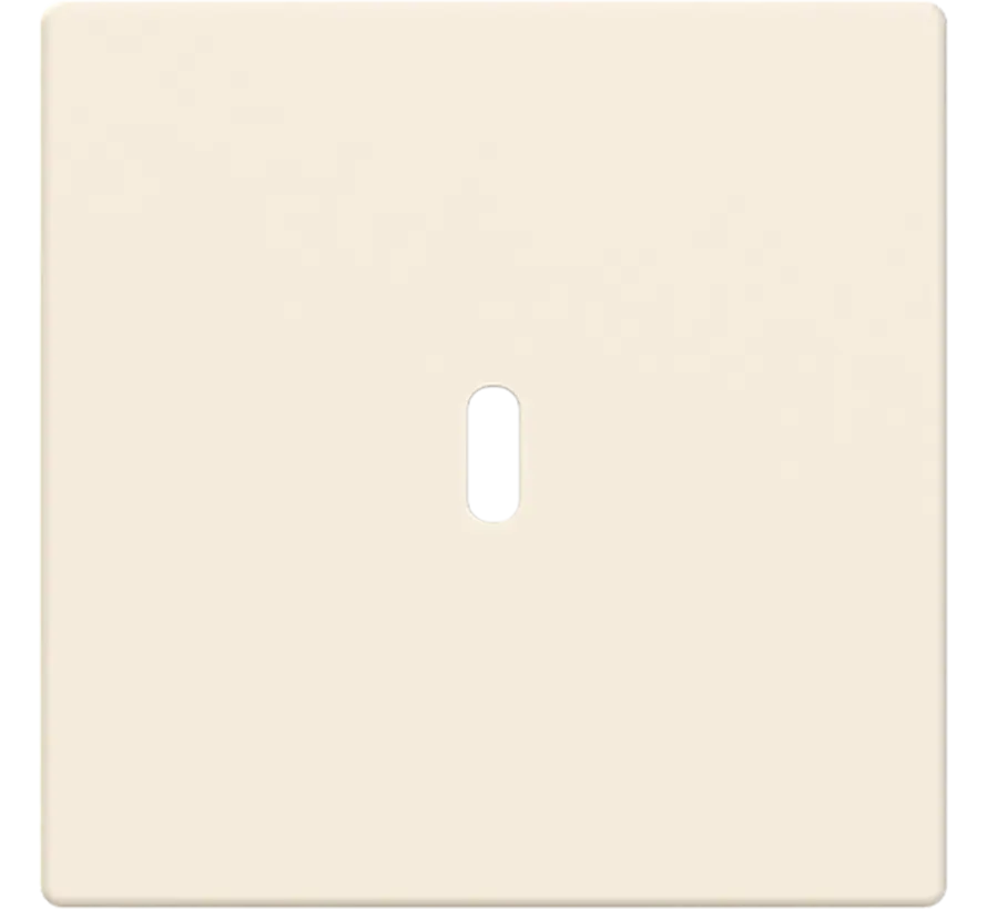 centraalplaat USB-C creme glans (6479-82)