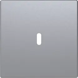 Busch-Jaeger centraalplaat USB-C aluzilver mat (6479-83)