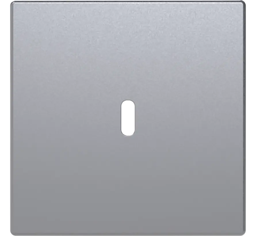 centraalplaat USB-C Future Linear aluzilver mat (6479-83)