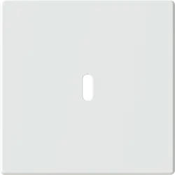 Busch-Jaeger centraalplaat USB-C studiowit mat (6479-884)