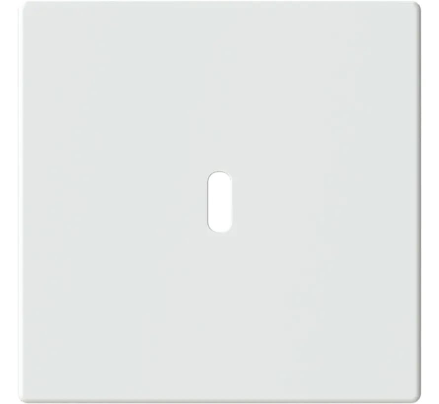 centraalplaat USB-C studiowit mat (6479-884)