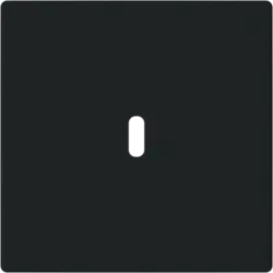 Busch-Jaeger centraalplaat USB-C zwart mat (6479-885)