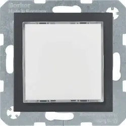 Berker lichtsignaaleenheid 230V witte LED S1/B3/B7 antraciet mat (29531606)