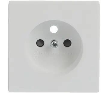 Busch-Jaeger centraalplaat voor wandcontactdoos met penaarde Future Linear studiowit mat (2399 UCKS-884)