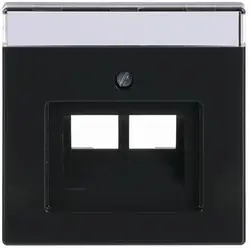 Busch-Jaeger centraalplaat RJ45 wandcontactdoos 2-voudig Future Linear antraciet glans (1803-02-81)