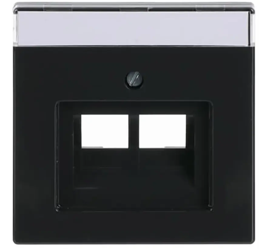 centraalplaat RJ45 wandcontactdoos 2-voudig Future Linear antraciet glans (1803-02-81)