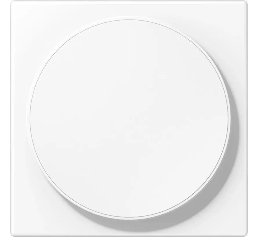 centraalplaat voor draadloos opladen LS990 sneeuwwit mat (LS WC MAG WWM)