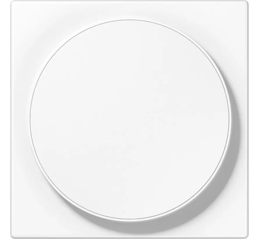 centraalplaat voor draadloos opladen LS990 alpine wit (LS WC MAG WW)