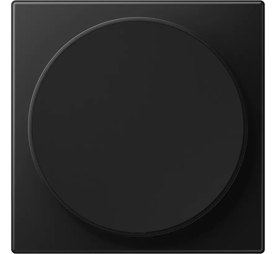 centraalplaat voor draadloos opladen LS990 grafietzwart mat (LS WC MAG SWM)