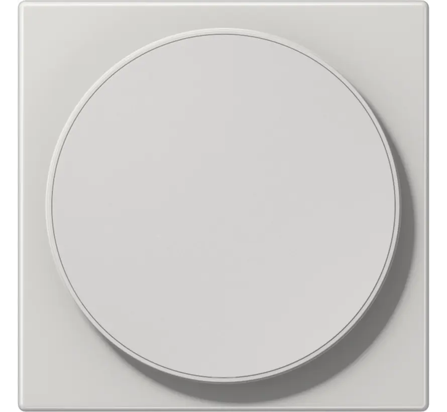 centraalplaat voor draadloos opladen LS990 lichtgrijs (LS WC MAG LG)