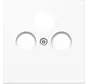 centraalplaat coax/sat LS990 alpine wit (LS 990 SAT WW)