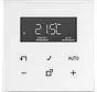 kamerthermostaat met display incl. binnenwerk LS990 alpine wit (TR D LS 1790 WW)