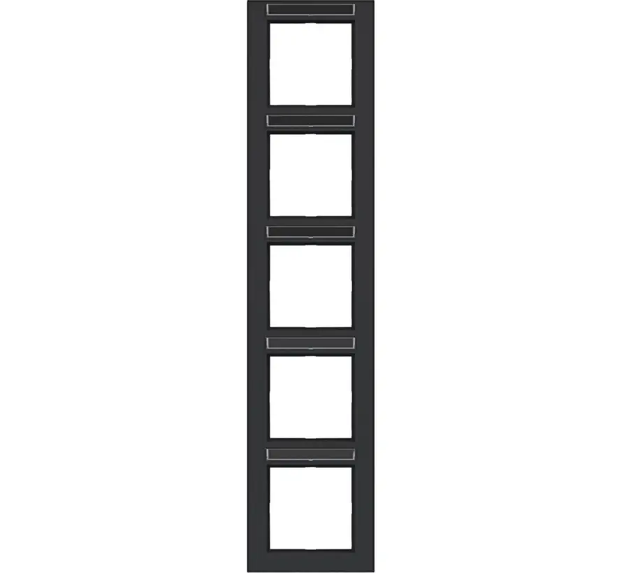 afdekraam 5-voudig verticaal met tekstveld A1 nachtzwart mat (WAD6503BM)