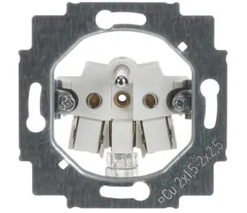 Busch-Jaeger wandcontactdoos penaarde exclusief centraalplaat (20 M-500)