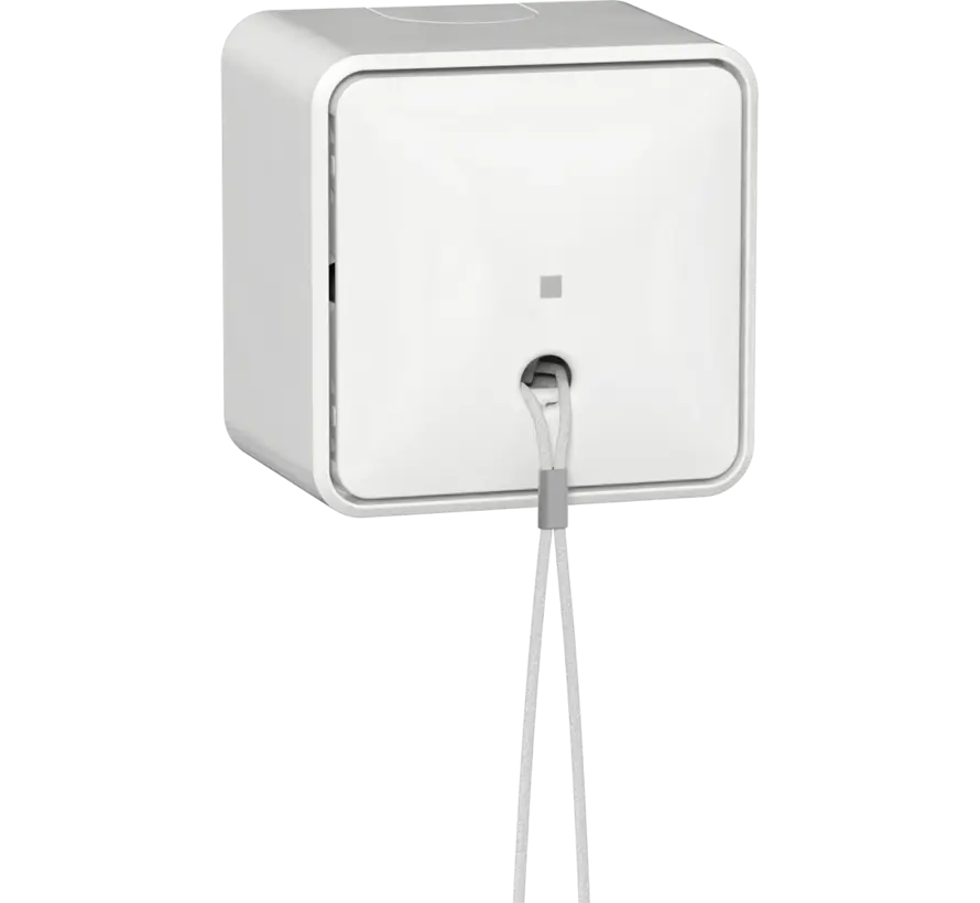 trekschakelaar opbouw 10A wit (314613)