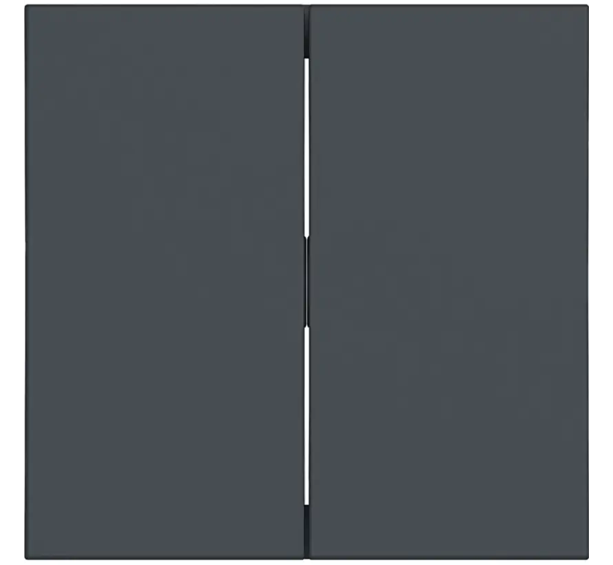 schakelwip 2-voudig A1/A8/C1/C8 antraciet mat (WAW2000AT)