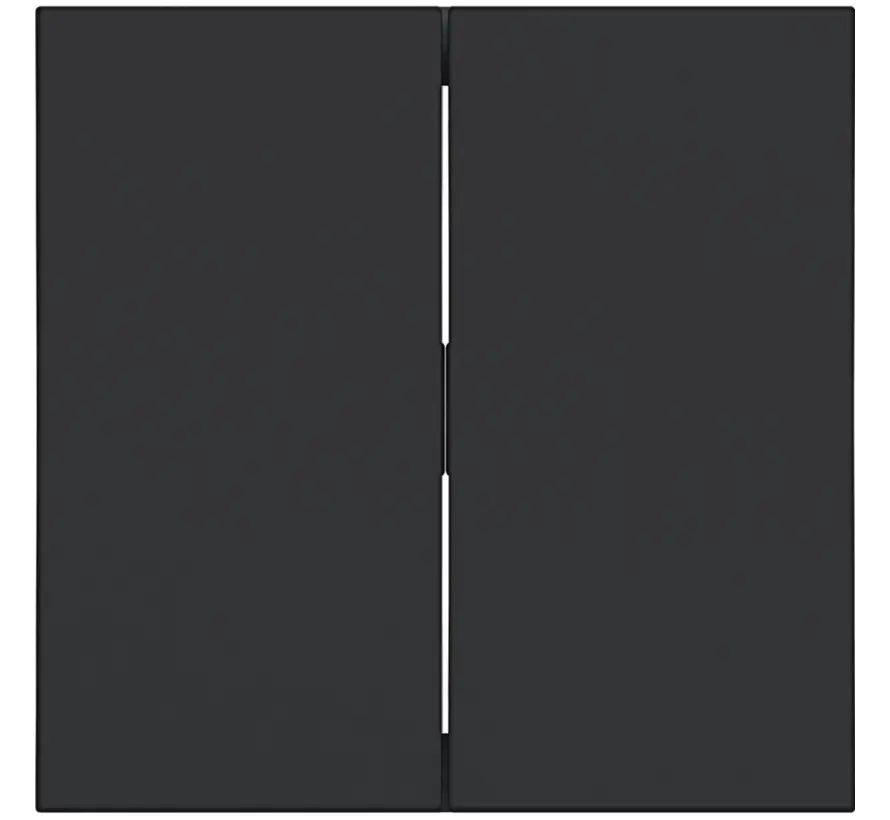 schakelwip 2-voudig A1/A8/C1/C8 nachtzwart mat (WAW2000BM)