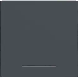 Hager Berker schakelwip controlevenster A1/A8/C1/C8 antraciet mat (WAW1031AT)