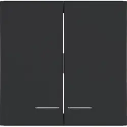 Hager Berker schakelwip 2-voudig controlevenster A1/A8/C1/C8 nachtzwart mat (WAW2031BM)