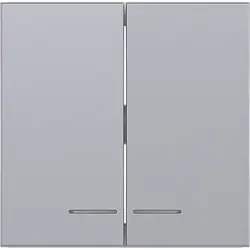 Hager Berker schakelwip 2-voudig controlevenster A1/A8/C1/C8 titaan (WAW2031TA)