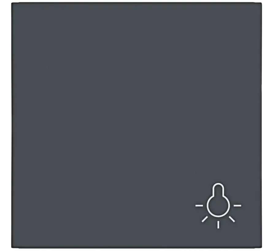 schakelwip met lichtsymbool A1/A8/C1/C8 antraciet mat (WAW1012AT)