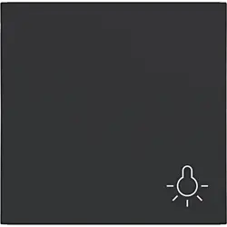 Hager Berker schakelwip met lichtsymbool A1/A8/C1/C8 nachtzwart mat (WAW1012BM)
