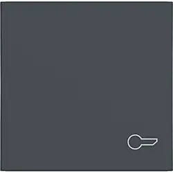 Hager Berker schakelwip met sleutelsymbool A1/A8/C1/C8 antraciet mat (WAW1013AT)